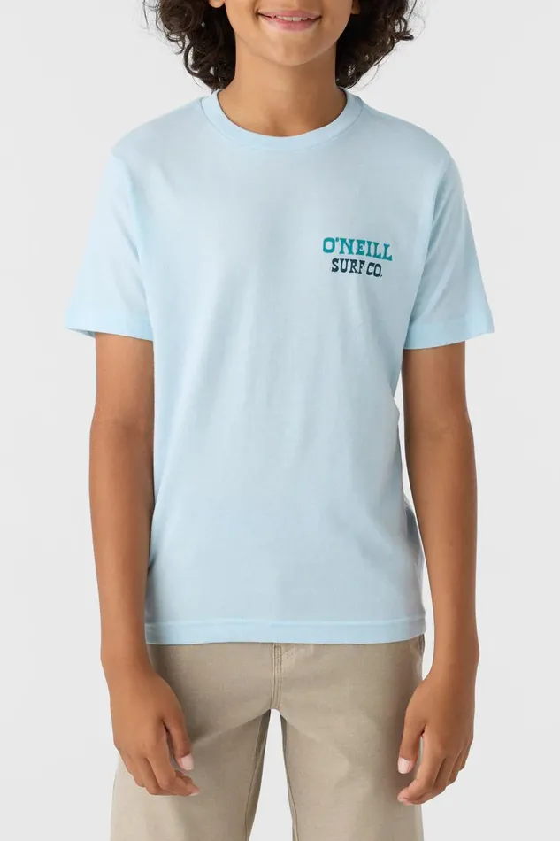 BOY039S CAPPY TEE Sky Blue Heather Kids O039NEILL Boy039S Clothing