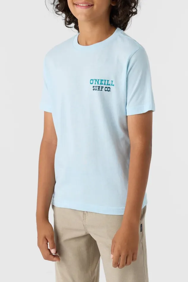 BOY039S CAPPY TEE Sky Blue Heather Kids O039NEILL Boy039S Clothing