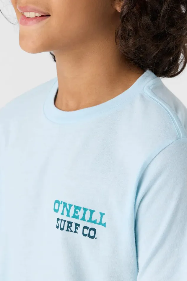 BOY039S CAPPY TEE Sky Blue Heather Kids O039NEILL Boy039S Clothing