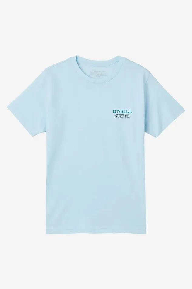 BOY039S CAPPY TEE Sky Blue Heather Kids O039NEILL Boy039S Clothing