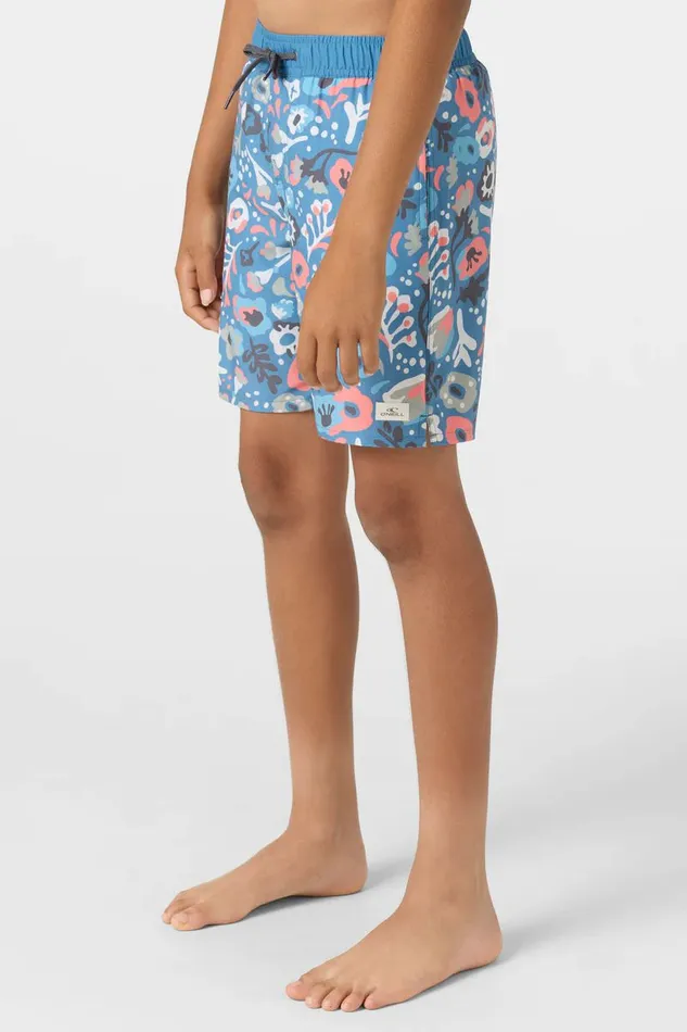 HERMOSA LIGHT LINED VOLLEY 16034 SHORTS Kids O039NEILL Boy039S Clothing