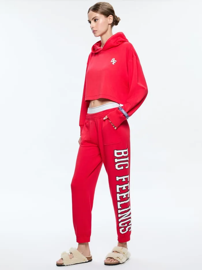 Loungewear Women Alice Olivia Big Feelings Tai Cropped Hoodie Red