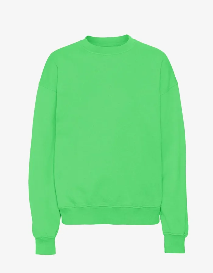 Men Crewneck Sweatshirts Colorful Standard Organic Oversized Crew Spring Green Men Crewneck Sweatshirts Colorful Standard Organic Oversized Crew Spring Green