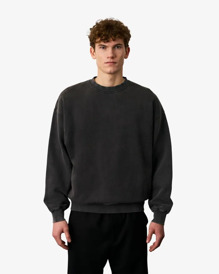 Men Crewneck Sweatshirts Colorful Standard Organic Oversized Crew Spring Green