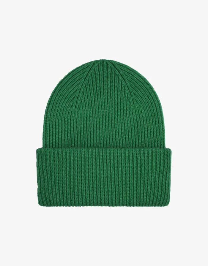 Men Hats Colorful Standard Merino Wool Hat Kelly Green