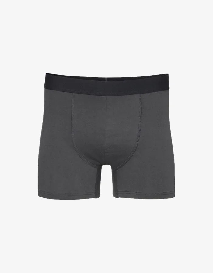 Men Underwear Colorful Standard Classic Organic Boxer Briefs Lava Grey