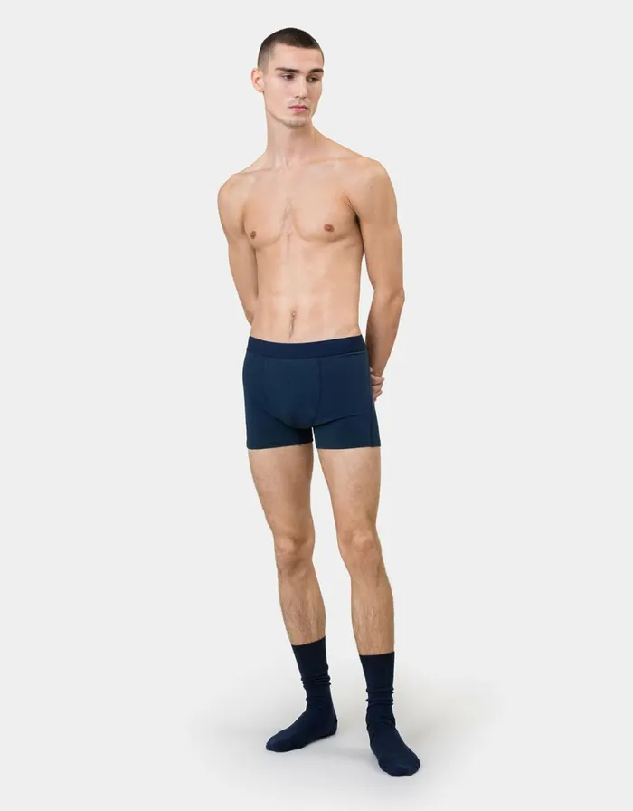 Men Underwear Colorful Standard Classic Organic Boxer Briefs Lava Grey