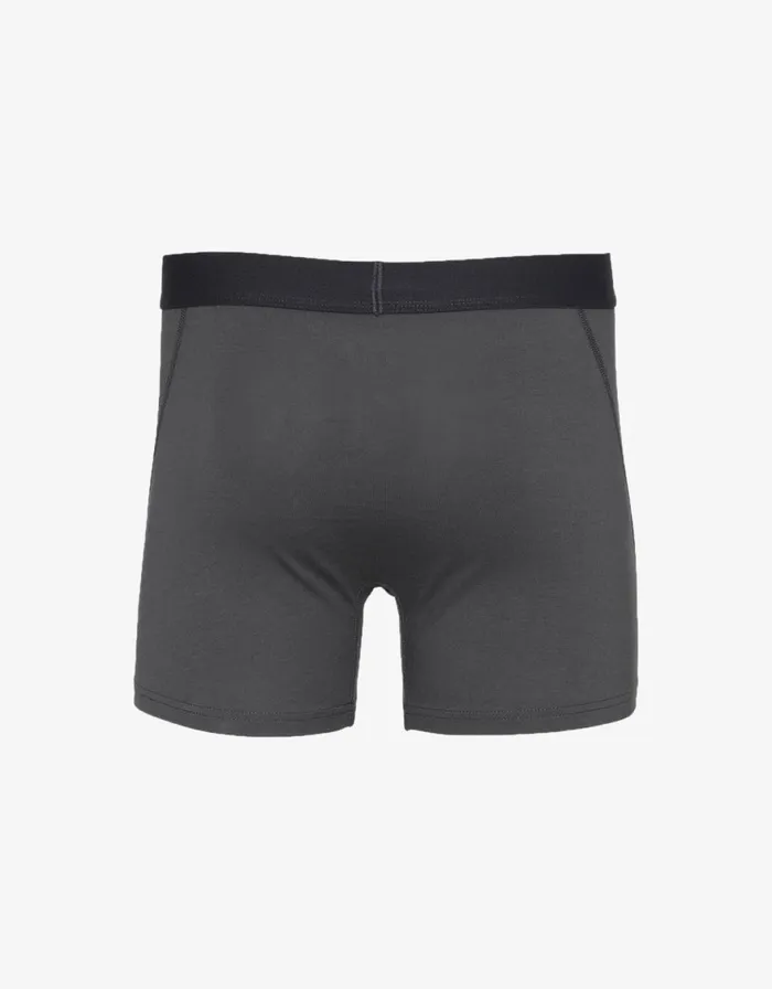 Men Underwear Colorful Standard Classic Organic Boxer Briefs Lava Grey