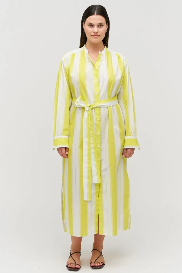 Oroton Deckchair Stripe Shirt Dress Citrine Women Dresses Oroton Deckchair Stripe Shirt Dress Citrine Women Dresses