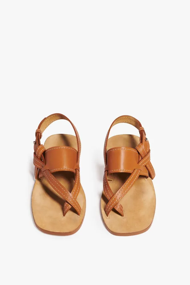 Shoes Women Victoria Beckham Eve Flat Sandal In Tan