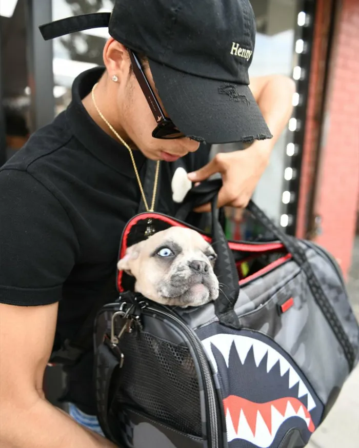 SPRAYGROUND 3AM PET CARRIER Bags