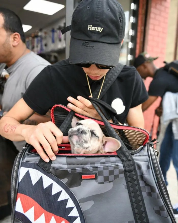 SPRAYGROUND 3AM PET CARRIER Bags
