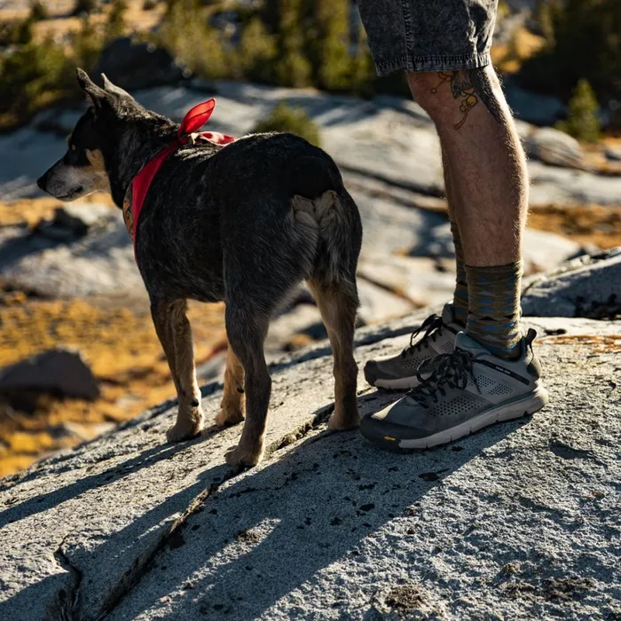 Trail 2650 CharcoalGoblin Blue Men Danner Shoes