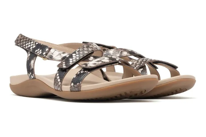Women ABEO Footwear Sandals Ollie Natural Snake