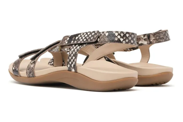 Women ABEO Footwear Sandals Ollie Natural Snake