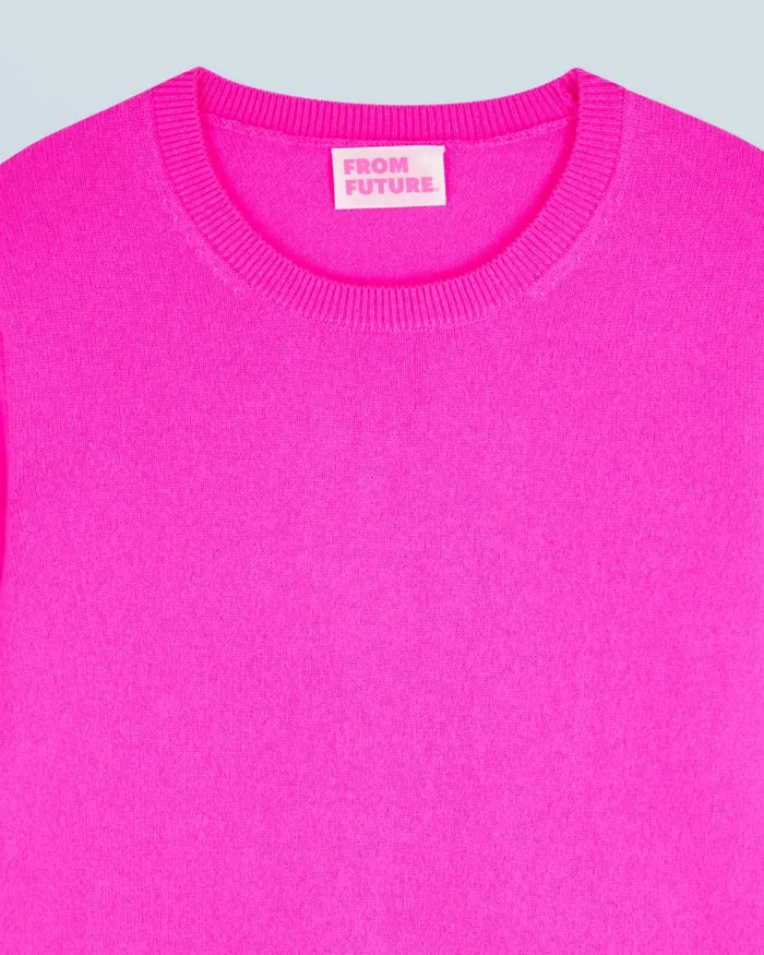 Women Cashmere Sweaters From Future Basic Crewneck Sweater Utopic Pink
