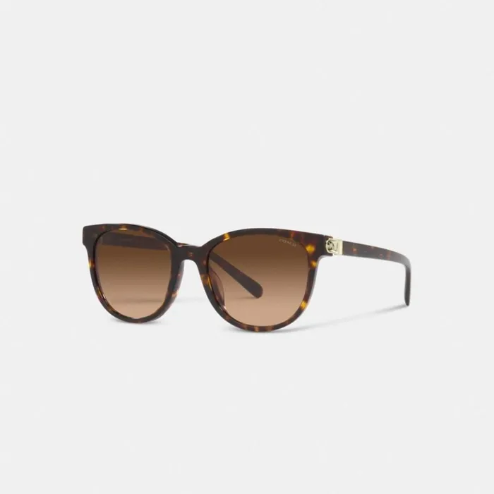 Women Eyewear Coach Horse And Carriage Round Sunglasses Dark Tortoise