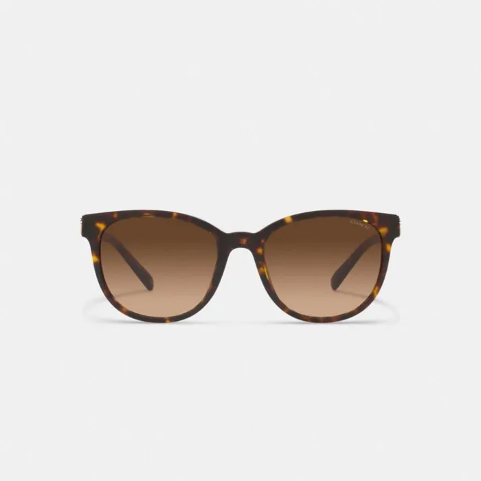 Women Eyewear Coach Horse And Carriage Round Sunglasses Dark Tortoise