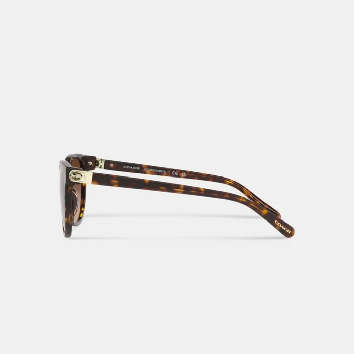 Women Eyewear Coach Horse And Carriage Round Sunglasses Dark Tortoise