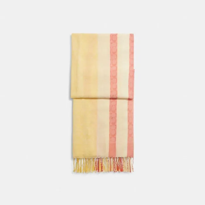Women Hats Scarves and Gloves Coach Signature Striped Pareo Haysun Orange