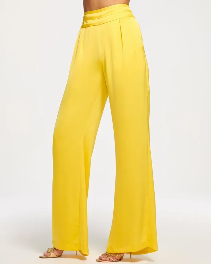 Women Joss Wide Leg Pant Burnt Sienna Ramy Brook Pants Women Joss Wide Leg Pant Burnt Sienna Ramy Brook Pants