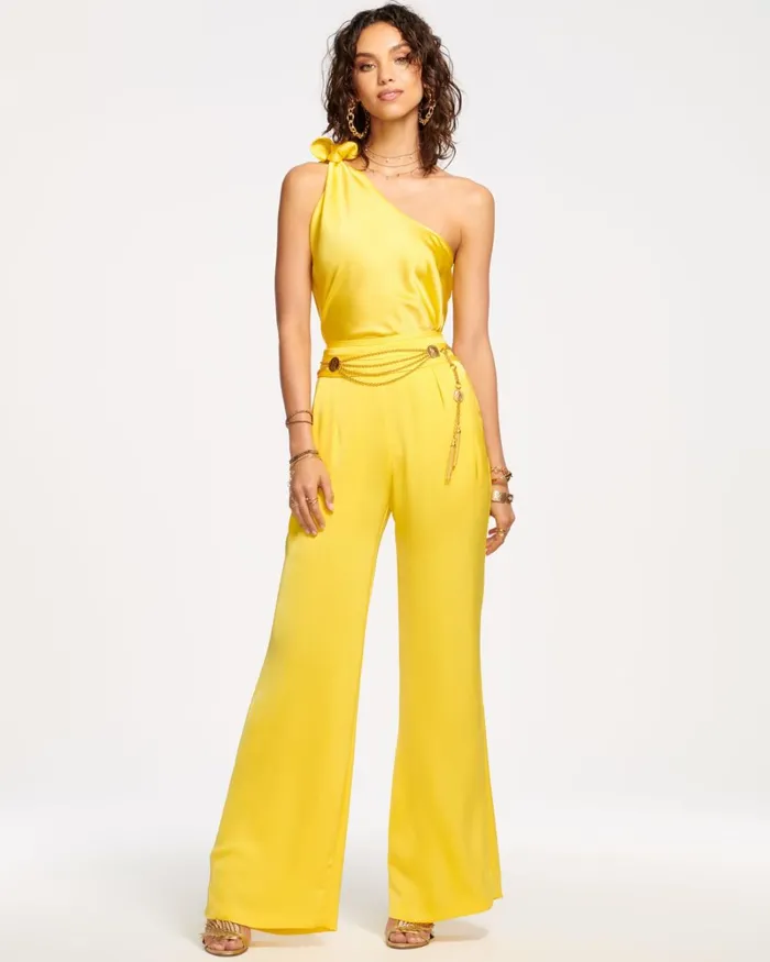 Women Joss Wide Leg Pant Burnt Sienna Ramy Brook Pants Women Joss Wide Leg Pant Burnt Sienna Ramy Brook Pants