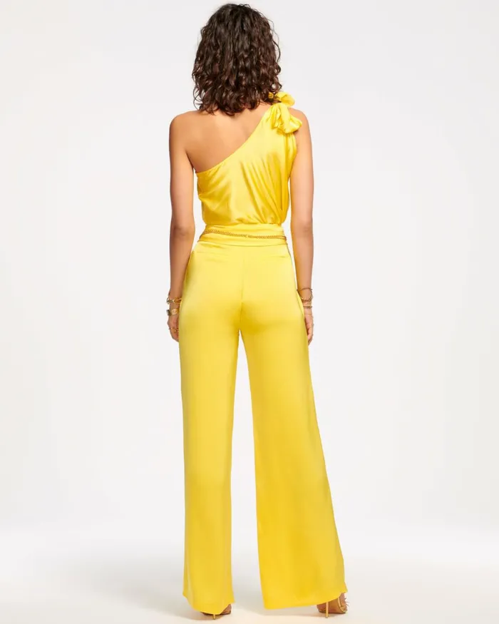 Women Joss Wide Leg Pant Burnt Sienna Ramy Brook Pants Women Joss Wide Leg Pant Burnt Sienna Ramy Brook Pants