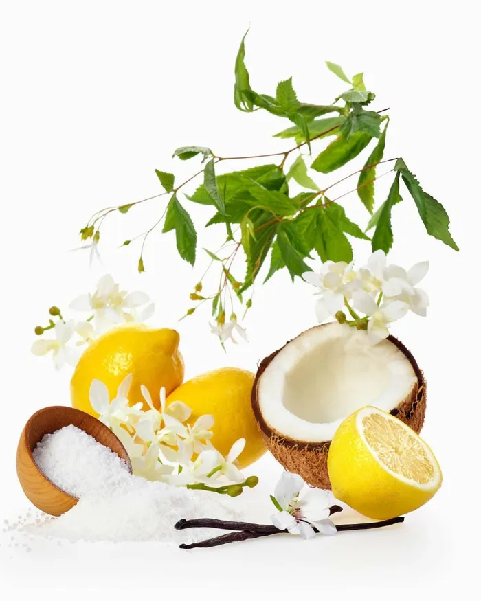 Women Vanilla Lemon Twist 2Wick Candle Vanilla Lemon Ramy Brook Candles